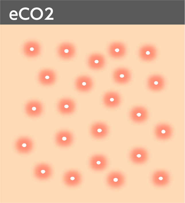 ビタミンリッチリペア